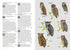 Birds of Vietnam - Richard Craik, Lê Quý Minh 2018 Flexi kantinen